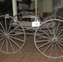 Early Concord - Right Side