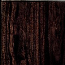 Sleigh rally pictures