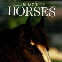 The Love of Horses