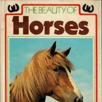 The Beauty of Horses