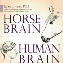 Horse Brain, Human Brain