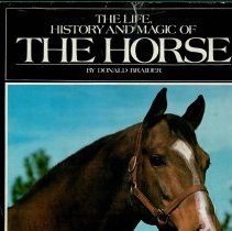 The Life, History and Magic of the Horse