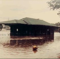 1986 Flood--Ann Street Depot