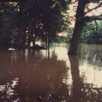 1986 Flood