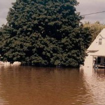1986 Flood--Atwell Drive and Pine River Road