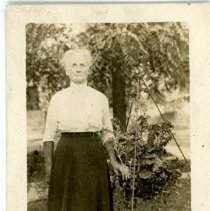 Unknown relative of the Price Family