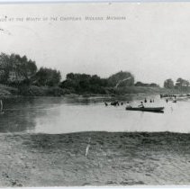 Tittabawasse River at the Chippewa River