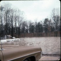 Flood 1976
