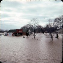 Flood --March 1976