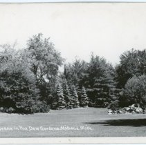Dow Gardens