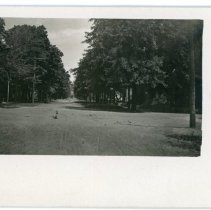 McDonald Street looking toward Grove Street