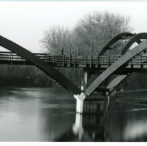 Tridge