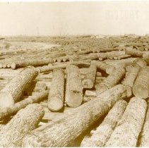 Averill Banking Grounds