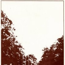 Midland County River corridor Study