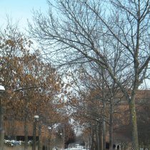 City Hall and County Services Buildings