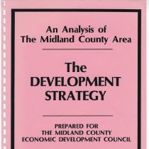 The Development Strategy