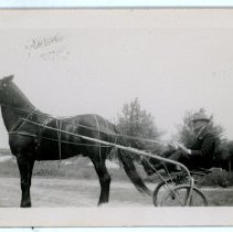Dad and one of Andy's race horses