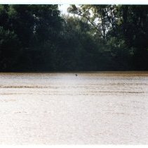 1986 Flood in Midland