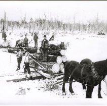 Midland County Lumbering