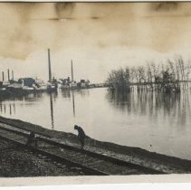 Flood view along the Tittabawassee River