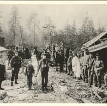 Lumber Camp