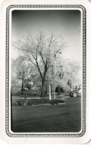 1950-Ice Storm. Collierville Tn.