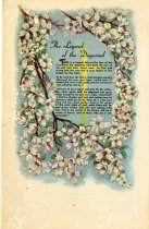 Legend of the Dogwood