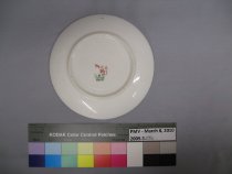 2009.3.17B Saucer
