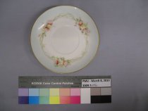 2009.3.17B Saucer