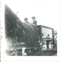 2010.11.137 Photograph