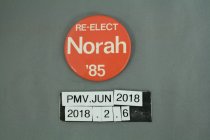2018.2.6 Pin, Political