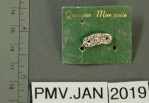 2017.60.13 Pin, Fraternal