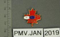 2017.60.6 Pin, Promotional