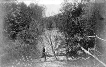 2024.14.28 Postcard, Picture FRONT