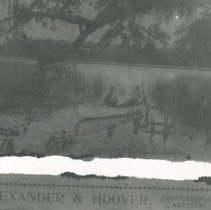 "Alexander and Hoover"