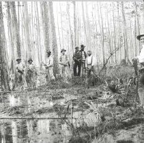 Chain gang in Turpentine woods