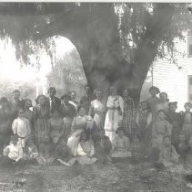 Goup of people under oak