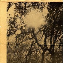 Amelia Island Plantation