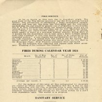 City of Fernandina Florida Second Annual Report