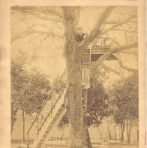 "Buzzard's Roost" Mr Swann's Yard