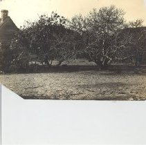 Harrison Plantation ?