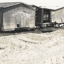 Boat houses on Egan's Creek.