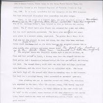 Misc. papers about Palmer House