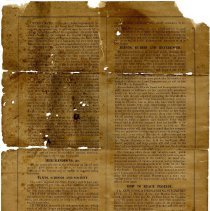 FL land & immigration