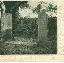 Grave of Light Horse Harry Lee