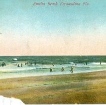 Amelia Beach