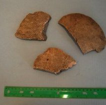 St Johns Check Stamped Potsherds