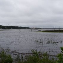 Egans Creek at high tide