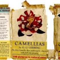 Camellias Cover back and flap