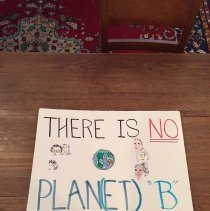 Women's March Placard